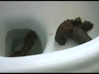 [ Scat Sex ] Toilet bowl POV scat porn